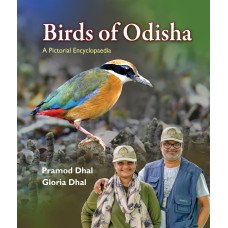 Birds of Odisha