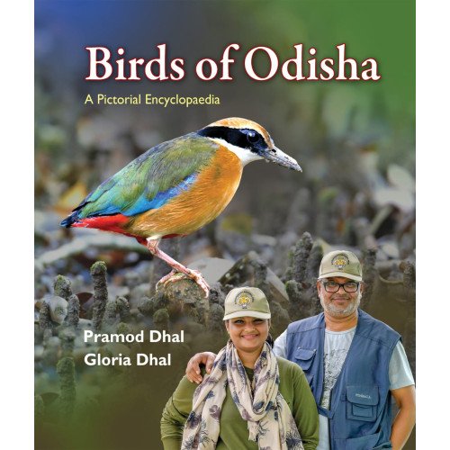 Birds of Odisha