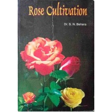 Rose Cultivation